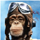 Speed_Monkey