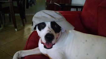 Frola2121