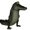 Gator95