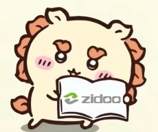 Zidoo Support-Kim